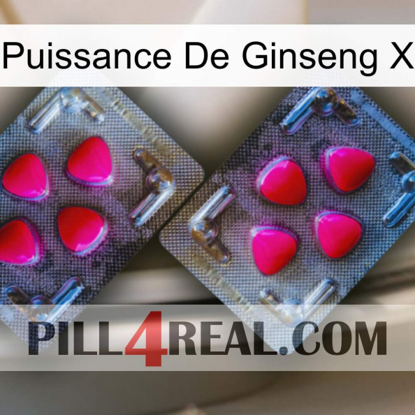 Ginseng Power X 15